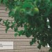 Сайдинг Ю-Пласт TIMBERBLOCK Пихта (Тимберблок) Cахалинская купить в Вышнем Волочке