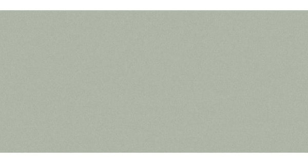 Сайдинг CEDRAL smooth (гладкий) С06 купить в Вышнем Волочке